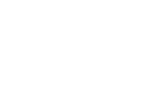 ikona4